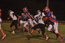 Enlarge photo 524