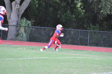 Enlarge photo 41