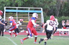 Enlarge photo 48