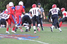 Enlarge photo 62
