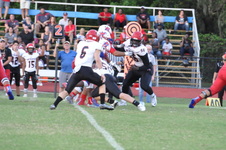 Enlarge photo 69