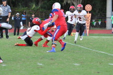 Enlarge photo 82
