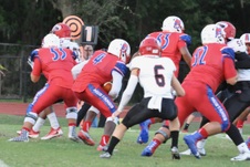 Enlarge photo 88