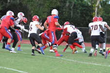 Enlarge photo 91