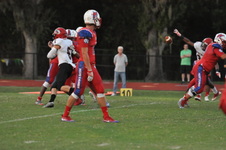 Enlarge photo 114