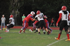 Enlarge photo 115
