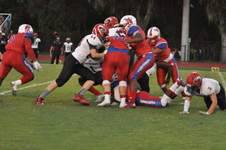 Enlarge photo 131