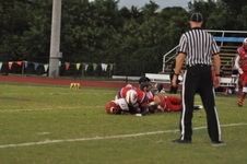 Enlarge photo 153