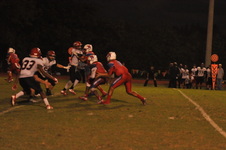 Enlarge photo 259