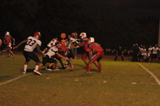 Enlarge photo 260