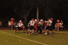 Enlarge photo 319