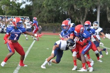 Enlarge photo 39