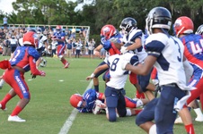 Enlarge photo 42