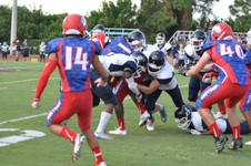 Enlarge photo 47