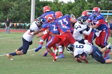 Enlarge photo 173