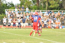Enlarge photo 91