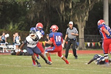 Enlarge photo 220