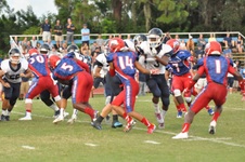 Enlarge photo 223