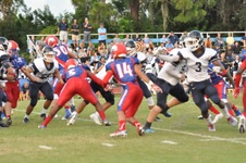 Enlarge photo 224