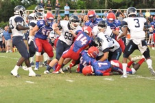 Enlarge photo 226