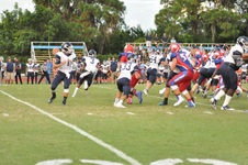 Enlarge photo 133