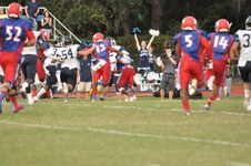 Enlarge photo 235