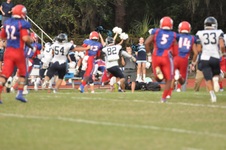 Enlarge photo 236