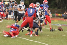Enlarge photo 242