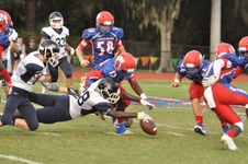 Enlarge photo 143