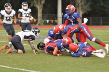 Enlarge photo 146