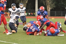 Enlarge photo 148