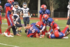 Enlarge photo 249