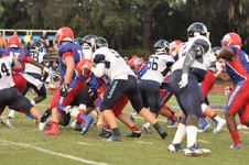 Enlarge photo 151