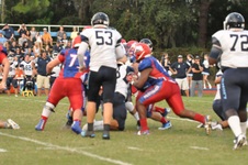 Enlarge photo 155