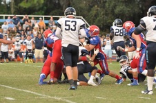Enlarge photo 257