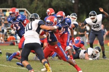 Enlarge photo 271