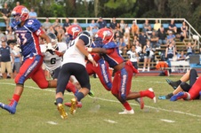 Enlarge photo 274