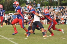 Enlarge photo 275