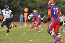Enlarge photo 290