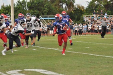Enlarge photo 309