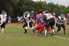 Enlarge photo 351