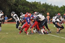Enlarge photo 352