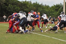 Enlarge photo 355