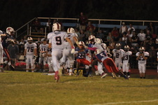 Enlarge photo 48
