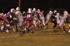 Enlarge photo 55