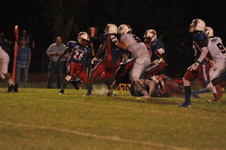 Enlarge photo 103