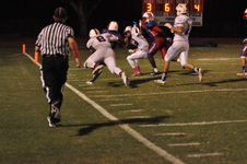 Enlarge photo 205