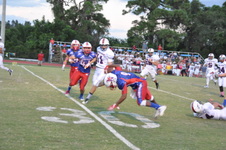 Enlarge photo 267