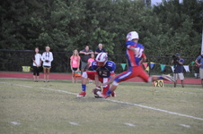 Enlarge photo 342