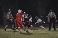 Enlarge photo 31